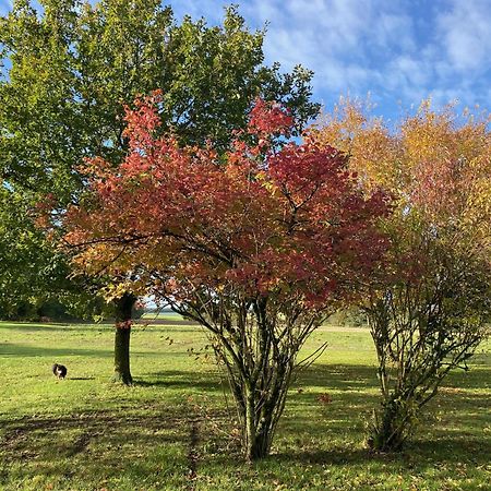 Villers-les-Ormes Domaine De Treuillaud Bed & Breakfast エクステリア 写真