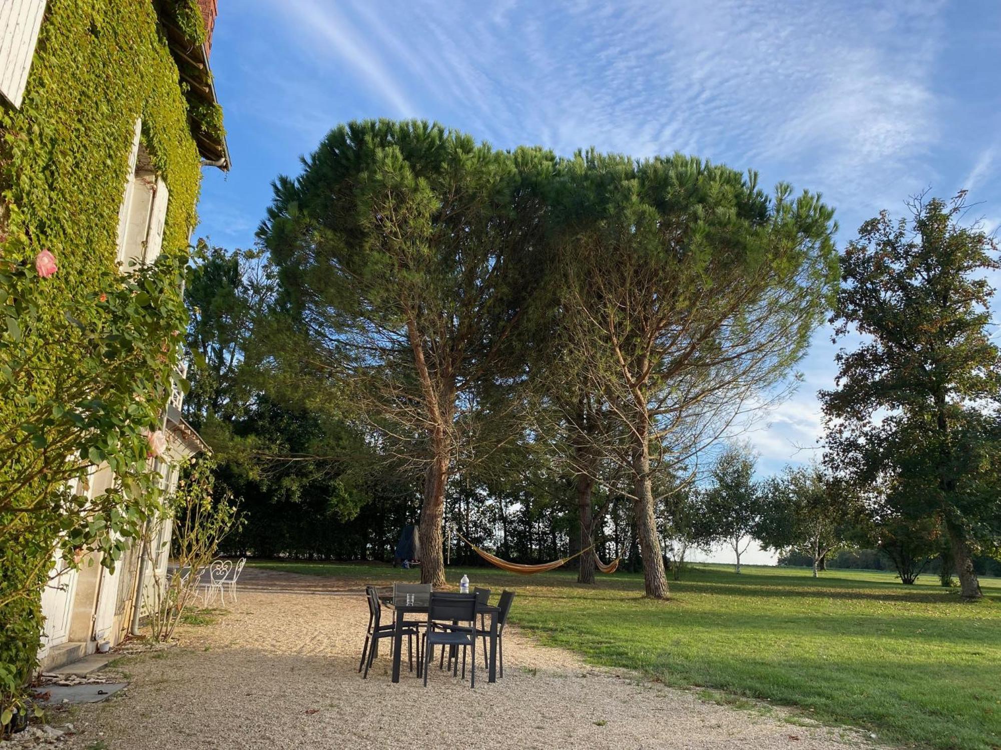 Villers-les-Ormes Domaine De Treuillaud Bed & Breakfast エクステリア 写真